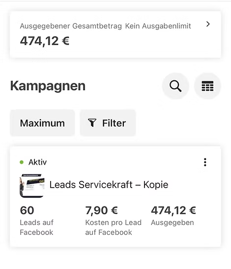 Ausschnitt aus dem Werbeanzeigenmanager: Kampagne Leads Servicekraft mit 60 Leads zu 7,90 Euro bei 474,12 Euro Budget